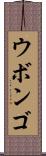 ウボンゴ Scroll