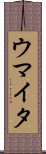 ウマイタ Scroll