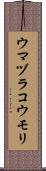 ウマヅラコウモリ Scroll