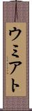 ウミアト Scroll