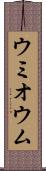 ウミオウム Scroll