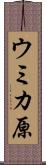 ウミカ原 Scroll