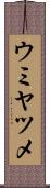 ウミヤツメ Scroll