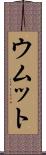 ウムット Scroll