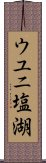 ウユニ塩湖 Scroll