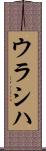 ウラシハ Scroll