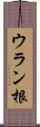 ウラン根 Scroll