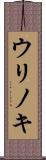 ウリノキ Scroll
