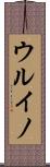 ウルイノ Scroll
