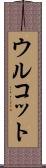 ウルコット Scroll