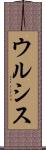 ウルシス Scroll