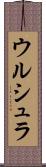 ウルシュラ Scroll