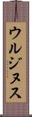 ウルジヌス Scroll