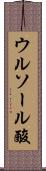ウルソール酸 Scroll