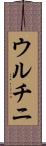 ウルチニ Scroll