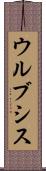 ウルブシス Scroll