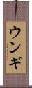 ウンギ Scroll