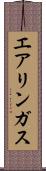 エアリンガス Scroll