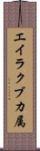 エイラクブカ属 Scroll