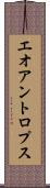 エオアントロプス Scroll