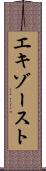エキゾースト Scroll