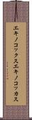 エキノコックス Scroll