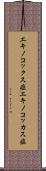エキノコックス症 Scroll