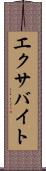 エクサバイト Scroll