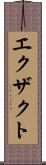 エクザクト Scroll