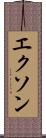 エクソン Scroll