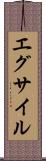 エグサイル Scroll