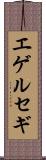 エゲルセギ Scroll