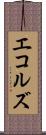 エコルズ Scroll