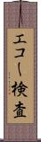 エコー検査 Scroll