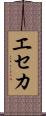 エセカ Scroll