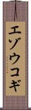 エゾウコギ Scroll