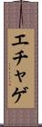 エチャゲ Scroll