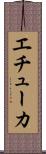 エチューカ Scroll