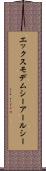 エックスモデムシーアールシー Scroll