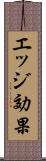 エッジ効果 Scroll