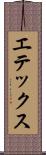エテックス Scroll