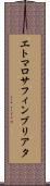 エトマロサ・フィンブリアタ Scroll