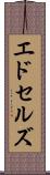 エドセルズ Scroll