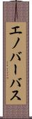 エノバーバス Scroll