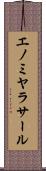 エノミヤラサール Scroll