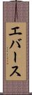 エバース Scroll