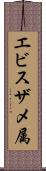 エビスザメ属 Scroll