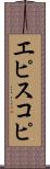 エピスコピ Scroll