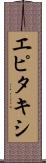エピタキシ Scroll