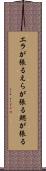 エラが張る Scroll